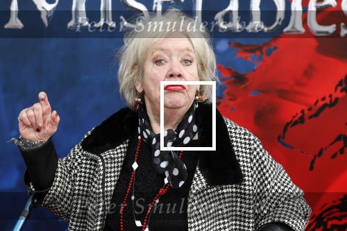 Amsterdam 5 maart 2023
Premiere les Miserables in Carre.
Duck Jetten