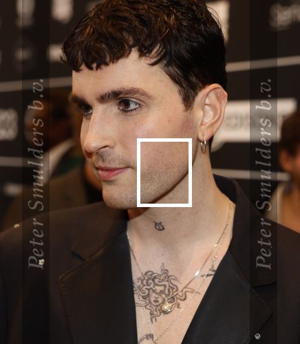 Leusden 6 maart 2023
Uitreiking Edisons in het AFAS theater .
Duncan laurence met zijn partner