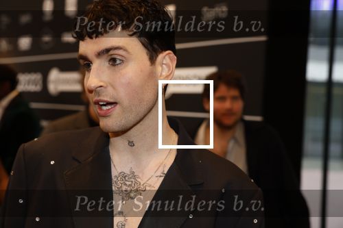 Leusden 6 maart 2023
Uitreiking Edisons in het AFAS theater .
Duncan laurence met zijn partner
