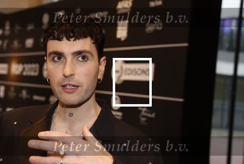 Leusden 6 maart 2023
Uitreiking Edisons in het AFAS theater .
Duncan laurence met zijn partner