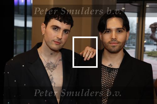 Leusden 6 maart 2023
Uitreiking Edisons in het AFAS theater .
Duncan laurence met zijn partner