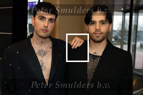 Leusden 6 maart 2023
Uitreiking Edisons in het AFAS theater .
Duncan laurence met zijn partner