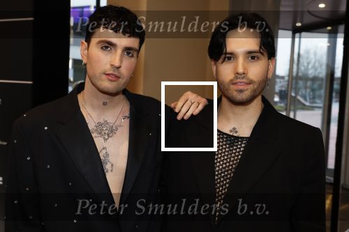 Leusden 6 maart 2023
Uitreiking Edisons in het AFAS theater .
Duncan laurence met zijn partner
