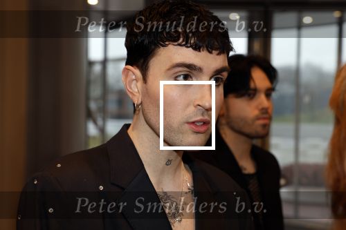 Leusden 6 maart 2023
Uitreiking Edisons in het AFAS theater .
Duncan laurence met zijn partner
