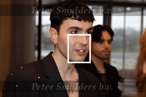 Leusden 6 maart 2023
Uitreiking Edisons in het AFAS theater .
Duncan laurence met zijn partner