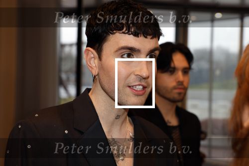 Leusden 6 maart 2023
Uitreiking Edisons in het AFAS theater .
Duncan laurence met zijn partner