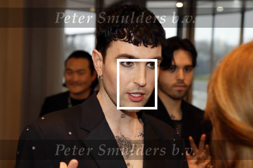 Leusden 6 maart 2023
Uitreiking Edisons in het AFAS theater .
Duncan laurence met zijn partner