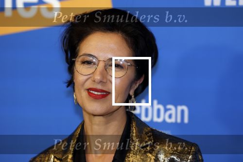 Amsterdam 10 maart 2023
Boekenbal 2023 in de schouwburg van Amsterdam.
Gunay Uslu