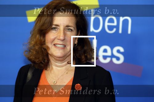 Amsterdam 10 maart 2023
Boekenbal 2023 in de schouwburg van Amsterdam.
Ingrid v Engelshoven