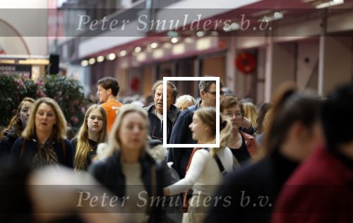 Amsterdam 19 februari 2023
Ivo Niehe signeert zijn nieuwe boek \