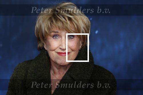 Amsterdam 5 maart 2023
Premiere les Miserables in Carre.
Jenny Arean
