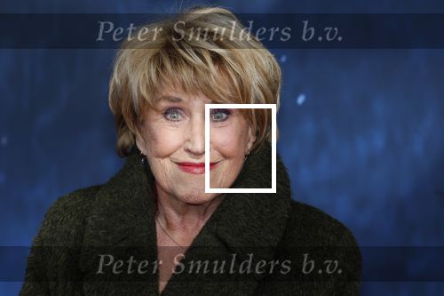 Amsterdam 5 maart 2023
Premiere les Miserables in Carre.
Jenny Arean