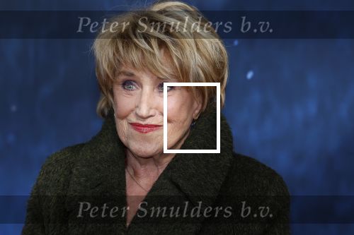 Amsterdam 5 maart 2023
Premiere les Miserables in Carre.
Jenny Arean
