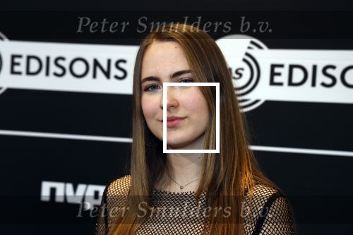 Leusden 6 maart 2023
Uitreiking Edisons in het AFAS theater .
Jet van der Steen