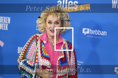 Amsterdam 10 maart 2023
Boekenbal 2023 in de schouwburg van Amsterdam.
Karin Bloemen