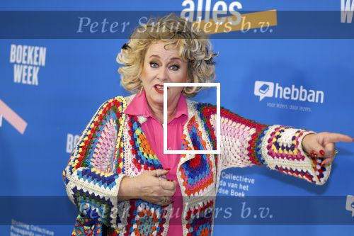 Amsterdam 10 maart 2023
Boekenbal 2023 in de schouwburg van Amsterdam.
Karin Bloemen