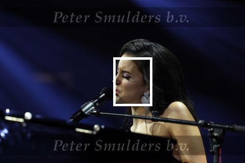 Amsterdam 11 maart 2023
Holland zingt Hazes in het ziggo dome.
Jeroen v d Boom Samantha Steenwijk Waylon Karsu John de Bever Og3ne Gerard Joling en Jamai maken er een geweldige show van .
Gasten aanwezig oa Rachel Hazes Wesley Sneijder en Guido den Aantrekker met zijn vrouw Tiffany.