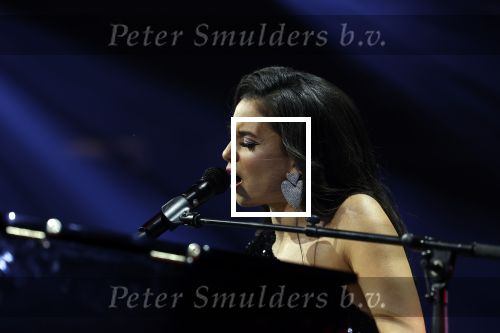Amsterdam 11 maart 2023
Holland zingt Hazes in het ziggo dome.
Jeroen v d Boom Samantha Steenwijk Waylon Karsu John de Bever Og3ne Gerard Joling en Jamai maken er een geweldige show van .
Gasten aanwezig oa Rachel Hazes Wesley Sneijder en Guido den Aantrekker met zijn vrouw Tiffany.