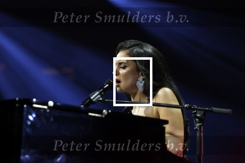 Amsterdam 11 maart 2023
Holland zingt Hazes in het ziggo dome.
Jeroen v d Boom Samantha Steenwijk Waylon Karsu John de Bever Og3ne Gerard Joling en Jamai maken er een geweldige show van .
Gasten aanwezig oa Rachel Hazes Wesley Sneijder en Guido den Aantrekker met zijn vrouw Tiffany.