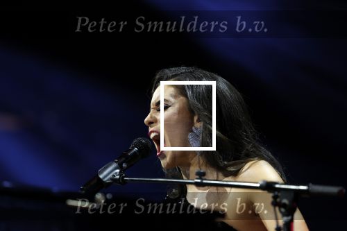 Amsterdam 11 maart 2023
Holland zingt Hazes in het ziggo dome.
Jeroen v d Boom Samantha Steenwijk Waylon Karsu John de Bever Og3ne Gerard Joling en Jamai maken er een geweldige show van .
Gasten aanwezig oa Rachel Hazes Wesley Sneijder en Guido den Aantrekker met zijn vrouw Tiffany.