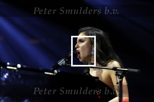 Amsterdam 11 maart 2023
Holland zingt Hazes in het ziggo dome.
Jeroen v d Boom Samantha Steenwijk Waylon Karsu John de Bever Og3ne Gerard Joling en Jamai maken er een geweldige show van .
Gasten aanwezig oa Rachel Hazes Wesley Sneijder en Guido den Aantrekker met zijn vrouw Tiffany.