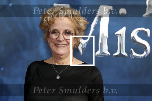 Amsterdam 5 maart 2023
Premiere les Miserables in Carre.
Lenette van Dongen