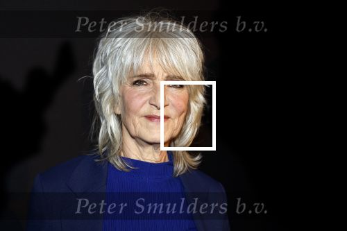 Amsterdam 15 maart 2023
Premiere de Verleiders in het deLaMar Theater.
Leoni Jansen en partner Jeroen Kramer