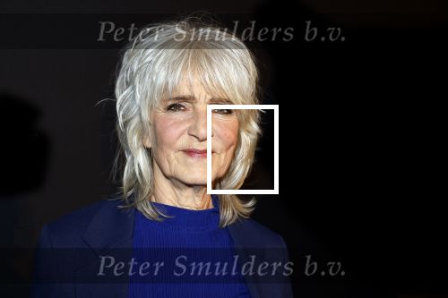 Amsterdam 15 maart 2023
Premiere de Verleiders in het deLaMar Theater.
Leoni Jansen en partner Jeroen Kramer