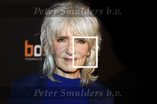 Amsterdam 15 maart 2023
Premiere de Verleiders in het deLaMar Theater.
Leoni Jansen en partner Jeroen Kramer