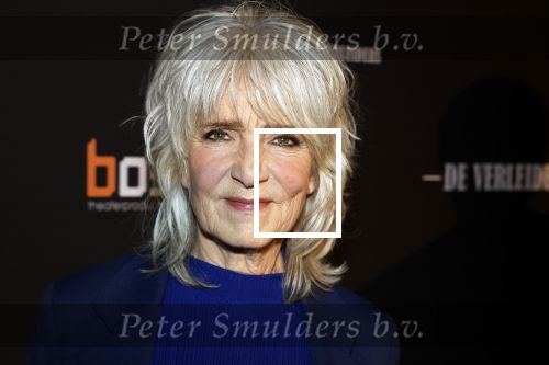 Amsterdam 15 maart 2023
Premiere de Verleiders in het deLaMar Theater.
Leoni Jansen en partner Jeroen Kramer