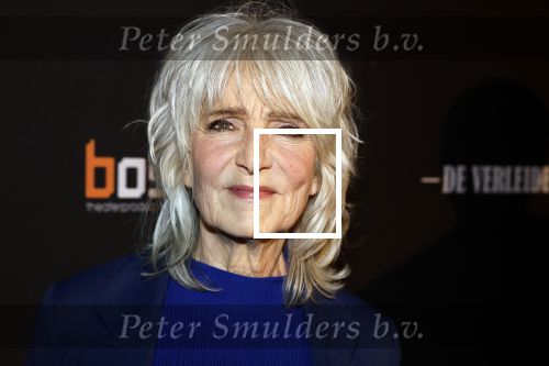 Amsterdam 15 maart 2023
Premiere de Verleiders in het deLaMar Theater.
Leoni Jansen en partner Jeroen Kramer