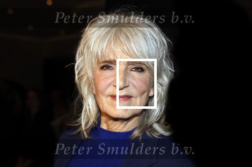 Amsterdam 15 maart 2023
Premiere de Verleiders in het deLaMar Theater.
Leoni Jansen en partner Jeroen Kramer