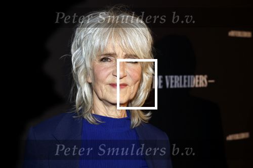 Amsterdam 15 maart 2023
Premiere de Verleiders in het deLaMar Theater.
Leoni Jansen en partner Jeroen Kramer