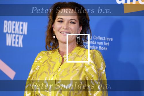 Amsterdam 10 maart 2023
Boekenbal 2023 in de schouwburg van Amsterdam.
Maike Meijer