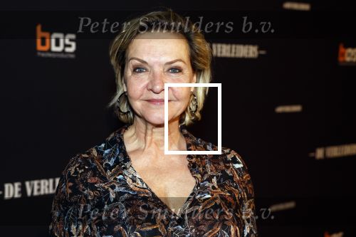 Amsterdam 15 maart 2023
Premiere de Verleiders in het deLaMar Theater.
Mariska v Kolck