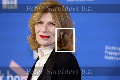 Amsterdam 10 maart 2023
Boekenbal 2023 in de schouwburg van Amsterdam.
Mieke v d Weij