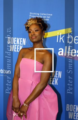 Amsterdam 10 maart 2023
Boekenbal 2023 in de schouwburg van Amsterdam.