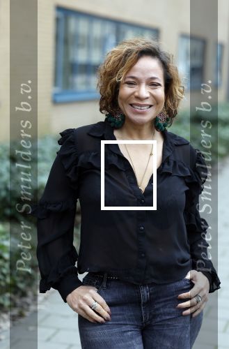 Amsterdam 21 februari 2023
Presentatie cast musical the Bodyguard . Oa Nurlaila Kareem en Tarikh Janssen spelen mee.