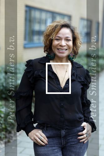 Amsterdam 21 februari 2023
Presentatie cast musical the Bodyguard . Oa Nurlaila Kareem en Tarikh Janssen spelen mee.