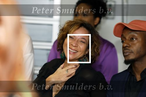 Amsterdam 21 februari 2023
Presentatie cast musical the Bodyguard . Oa Nurlaila Kareem en Tarikh Janssen spelen mee.