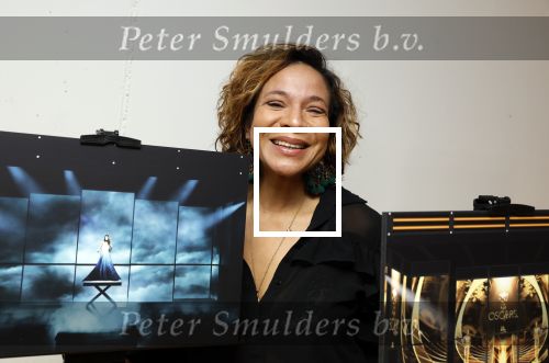 Amsterdam 21 februari 2023
Presentatie cast musical the Bodyguard . Oa Nurlaila Kareem en Tarikh Janssen spelen mee.