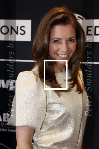 Leusden 6 maart 2023
Uitreiking Edisons in het AFAS theater .
Pauline de Wilde