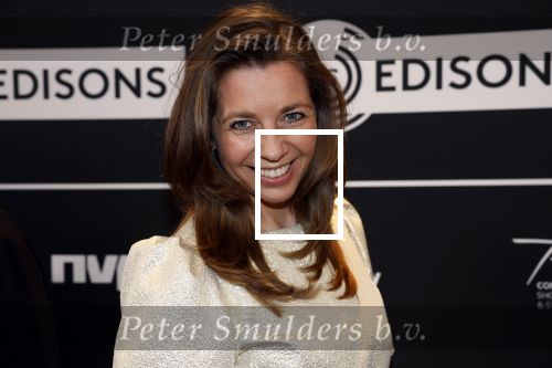 Leusden 6 maart 2023
Uitreiking Edisons in het AFAS theater .
Pauline de Wilde
