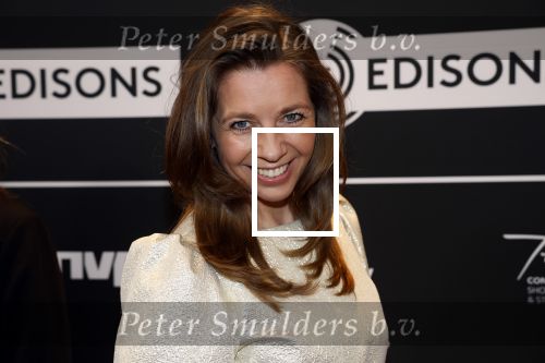 Leusden 6 maart 2023
Uitreiking Edisons in het AFAS theater .
Pauline de Wilde