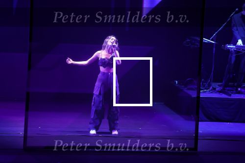 Leusden 6 maart 2023
Uitreiking Edisons in het AFAS theater .
Rikki Borgelt