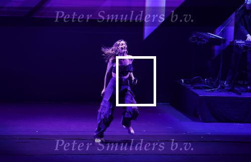 Leusden 6 maart 2023
Uitreiking Edisons in het AFAS theater .
Rikki Borgelt