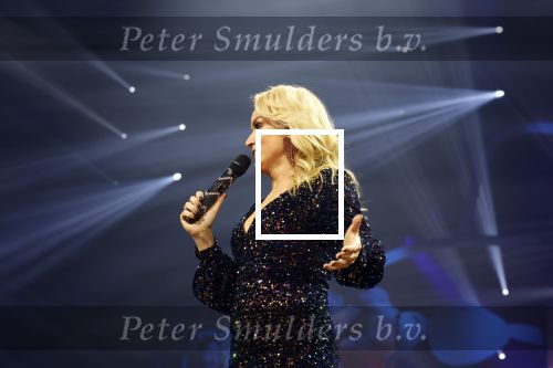 Amsterdam 11 maart 2023
Holland zingt Hazes in het ziggo dome.
Jeroen v d Boom Samantha Steenwijk Waylon Karsu John de Bever Og3ne Gerard Joling en Jamai maken er een geweldige show van .
Gasten aanwezig oa Rachel Hazes Wesley Sneijder en Guido den Aantrekker met zijn vrouw Tiffany.