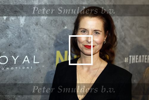 Amsterdam 21 februari 2023
Premiere Nureyev in het deLaMar theater.
Sandra Mattie
