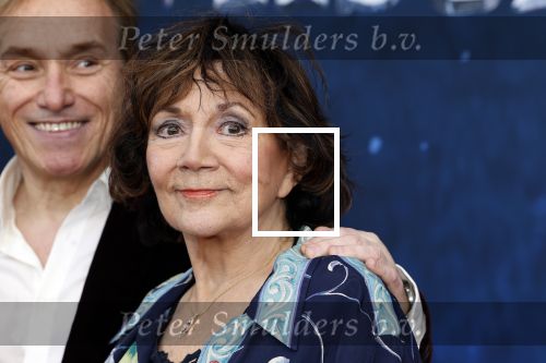 Amsterdam 5 maart 2023
Premiere les Miserables in Carre.
Therese Steinmetz