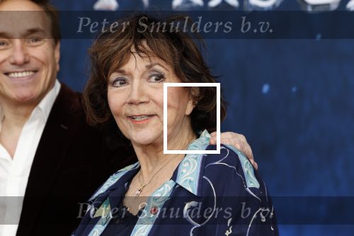 Amsterdam 5 maart 2023
Premiere les Miserables in Carre.
Therese Steinmetz